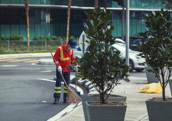 Landscaping Services