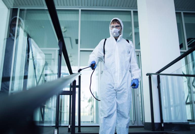 Professional Pest Control Services in Dubai